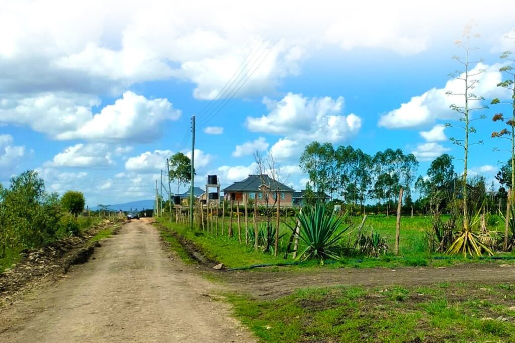 plots-for-sale-along-kangundo-road-kamulu-2-min